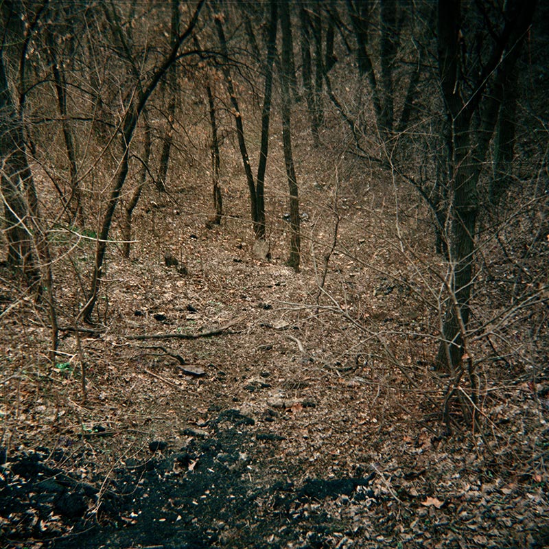Basarabia (5 of 15 images), 2007
