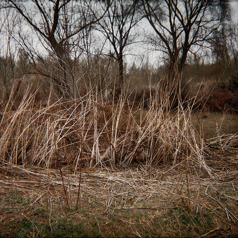 Basarabia (11 of 15 images), 2007