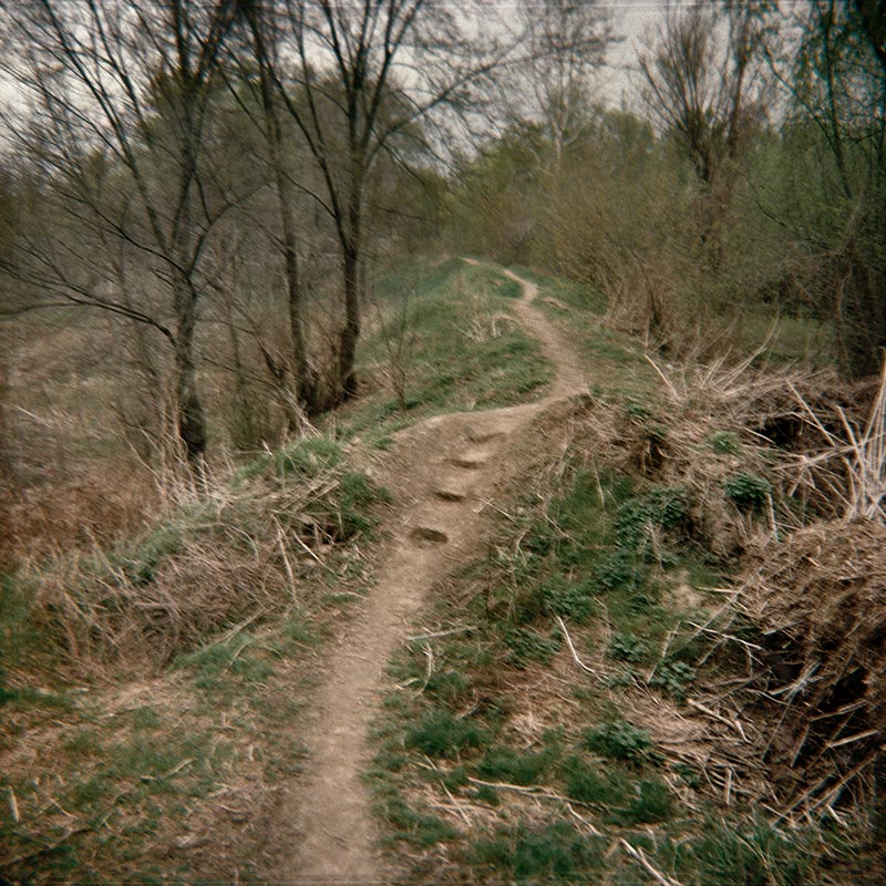 Basarabia (15 of 15 images), 2007