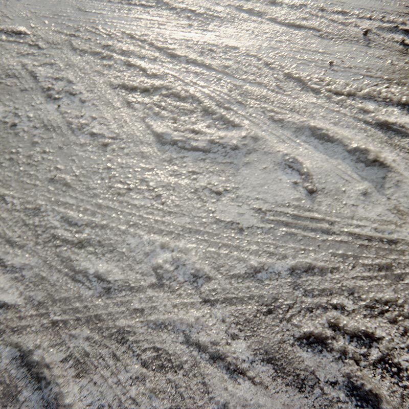 Geheimnisträger (3 of 55 images), 2010