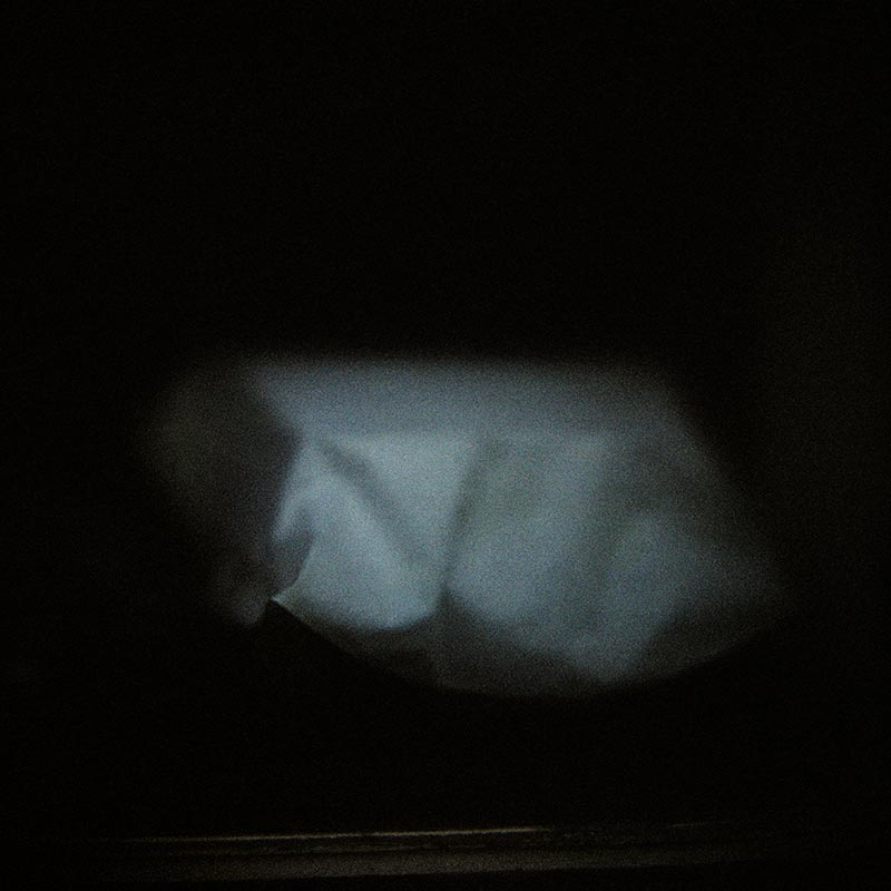 Geheimnisträger (11 of 55 images), 2010