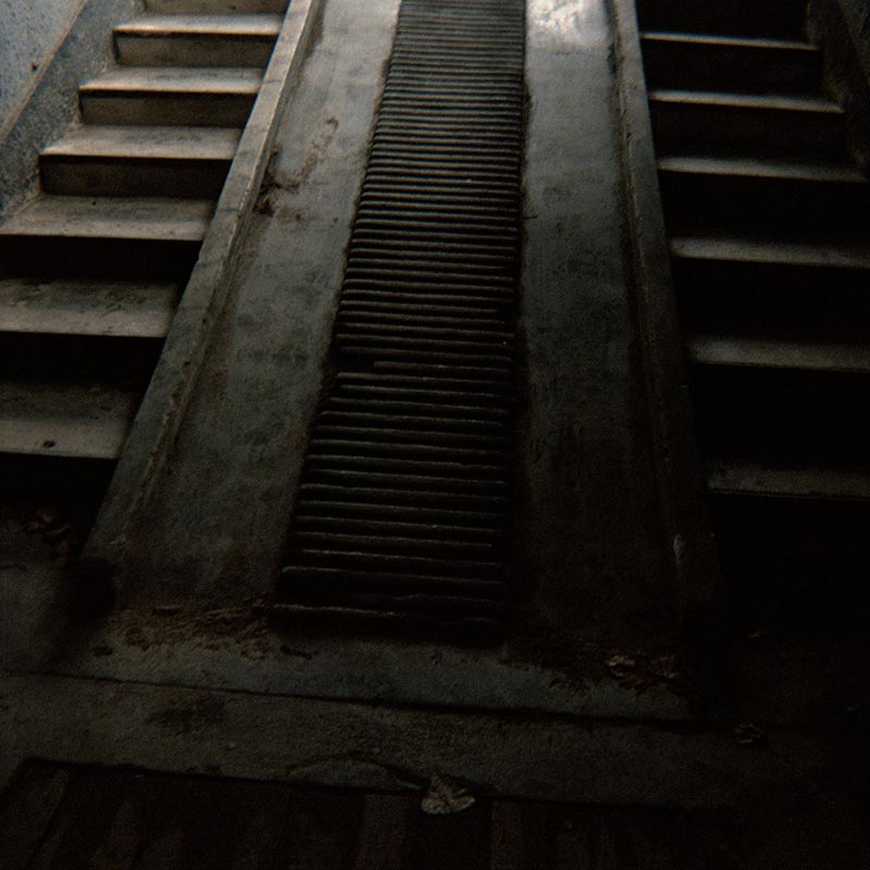 Geheimnisträger (13 of 55 images), 2010