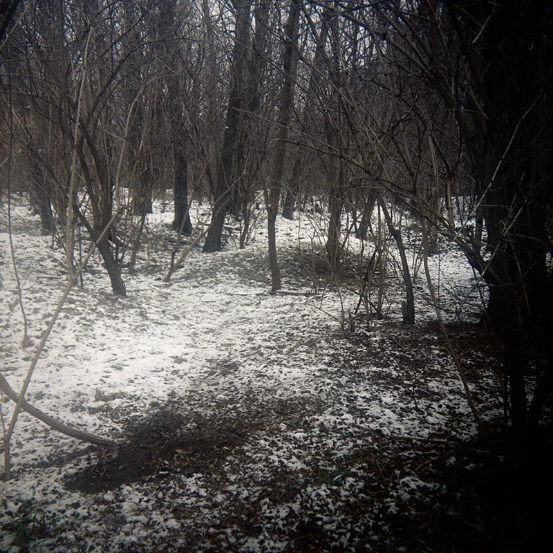 Geheimnisträger (15 of 55 images), 2010