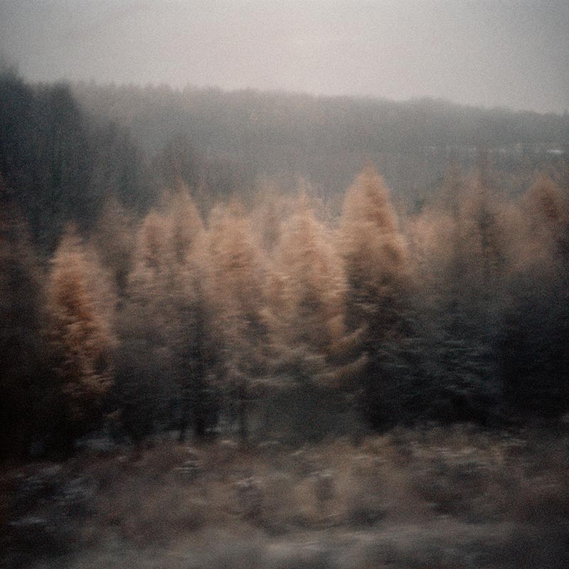 Geheimnisträger (17 of 55 images), 2010