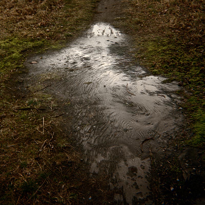 Geheimnisträger (21 of 55 images), 2010