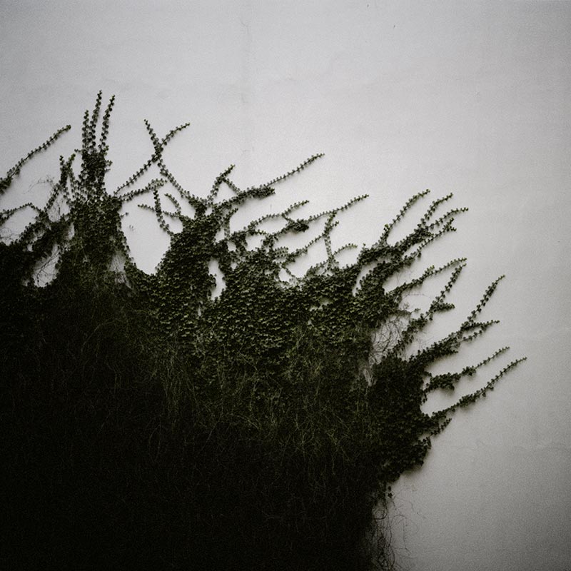 Geheimnisträger (25 of 55 images), 2010