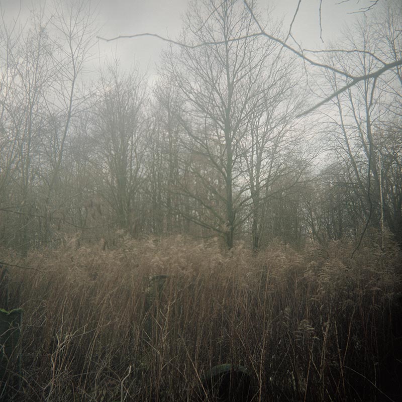 Geheimnisträger (33 of 55 images), 2010