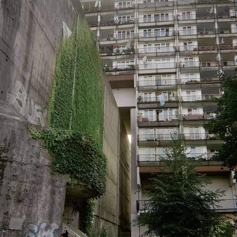 Geheimnisträger (40 of 55 images), 2010