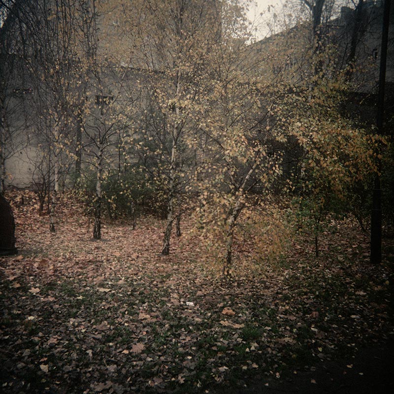 Geheimnisträger (44 of 55 images), 2010
