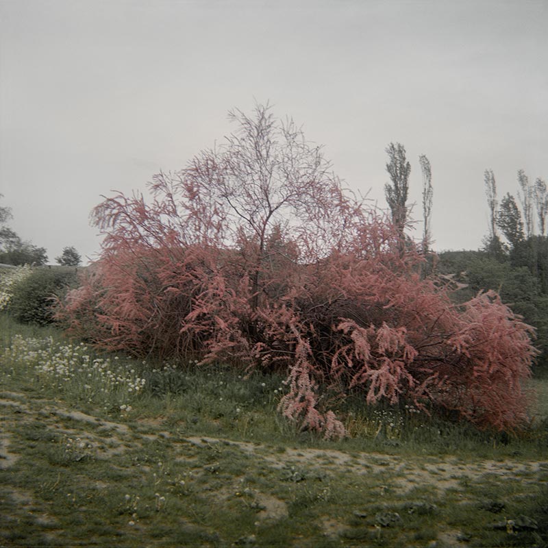 Geheimnisträger (48 of 55 images), 2010