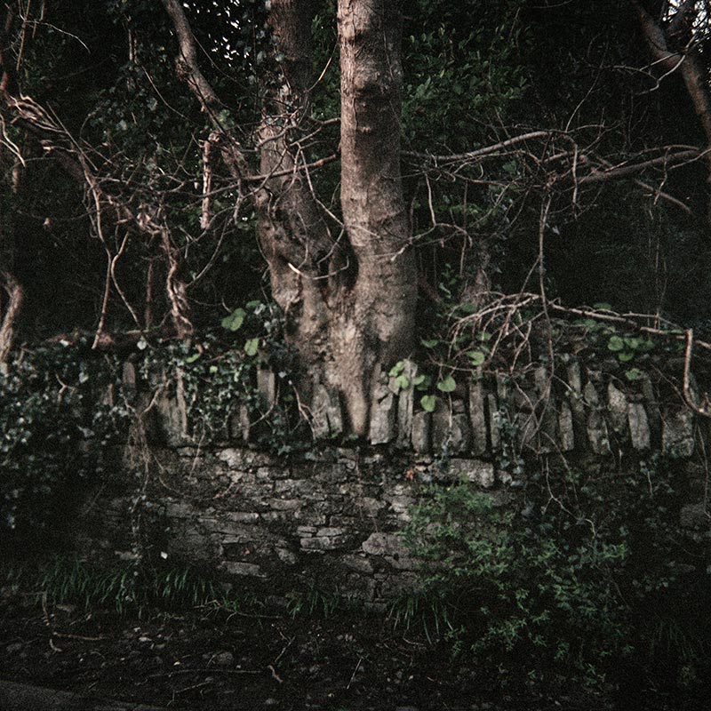 The Pier (4 of 9 images), 2011