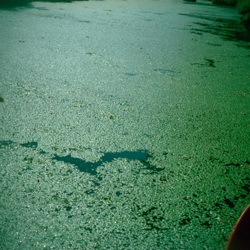 Tokyo? (26 of 40 images), 2005